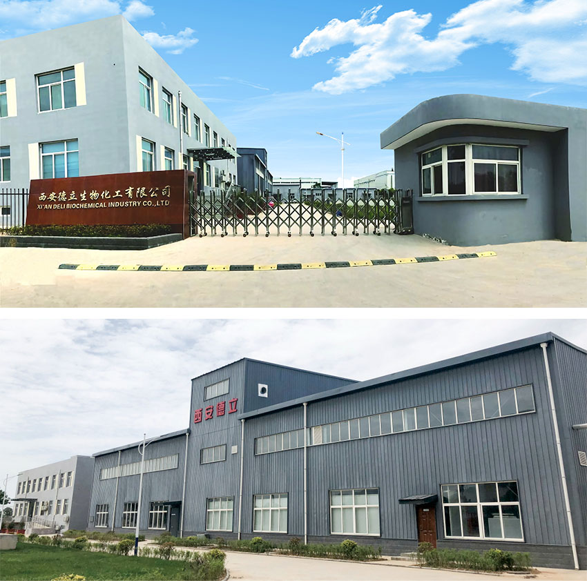 Xi'an Deli Biochemical Industry Co., Ltd.: INnovazione leader nei derivati ​​della ciclodestrina, potenziando l'industria farmaceutica